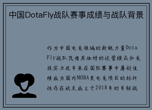 中国DotaFly战队赛事成绩与战队背景