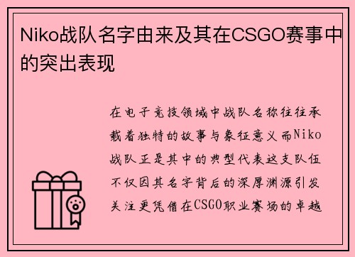 Niko战队名字由来及其在CSGO赛事中的突出表现