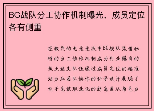 BG战队分工协作机制曝光，成员定位各有侧重